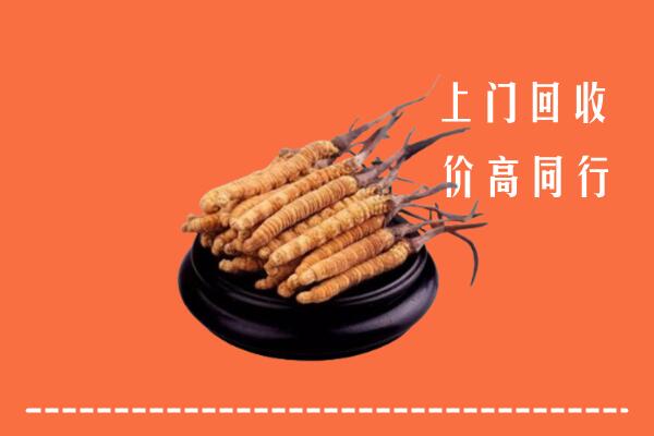 高价求购：呼伦贝尔牙克石市回收散虫草