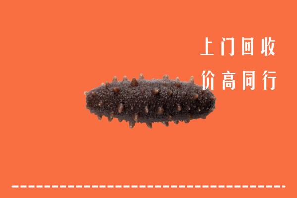 高价求购：呼伦贝尔牙克石市回收海参